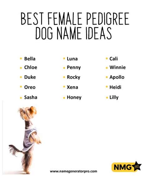 Pedigree Dog Names Ideas: Unique Breeds